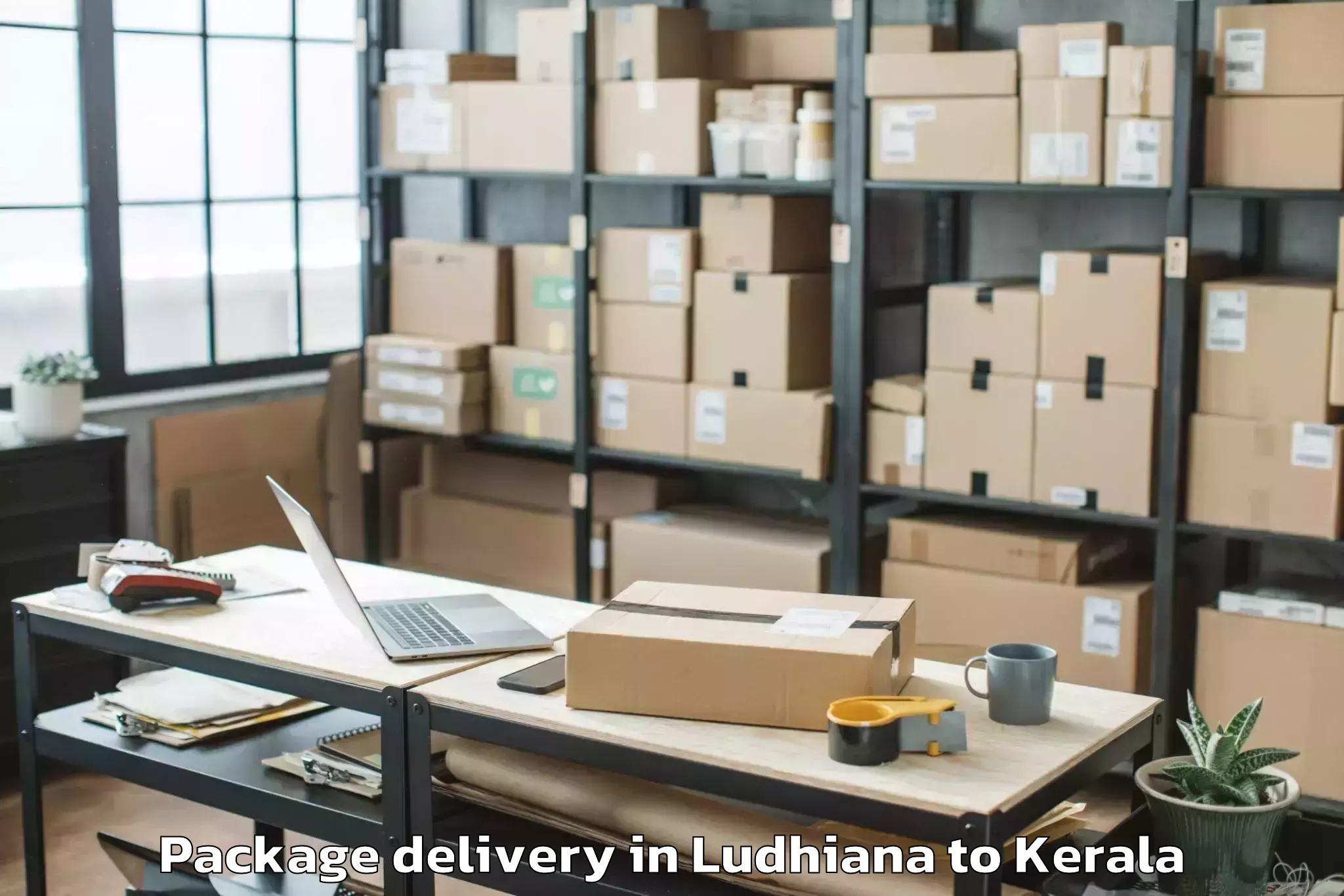 Book Ludhiana to Selex Mall Thrissur Package Delivery Online